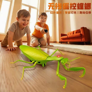 儿童螳螂电动仿真玩具红外遥控会动的爬行动物男孩子智能昆虫新款