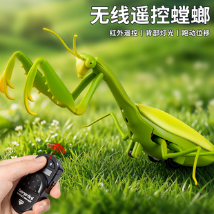 红外遥控螳螂电动仿真儿童玩具会动的爬行小动物男孩智能昆虫新款