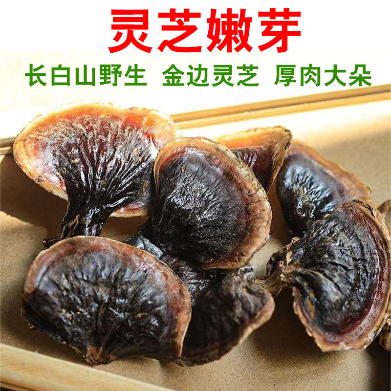 野生长白山灵芝嫩芽金边灵芝干货灵芝片灵芝芽菌香不苦灵芝煲汤,传统滋补营养品,整枝灵芝,淘宝优惠券,粉丝福利购,淘宝优惠卷