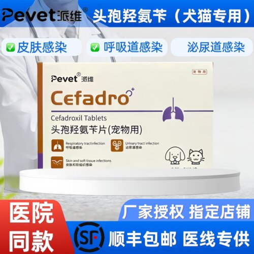 宠物狗猫咪用消炎药头孢羟氨苄脓皮症猫咪感冒外伤消炎药抗菌真菌