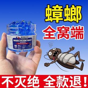 克星防蟑螂一窝端 美国诺贝尔蟑螂魔盒家用厨房小强克