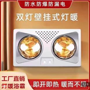 花花工厂甄选壁挂式灯暖浴霸免打孔双灯泡取暖器卫生间浴室取暖灯