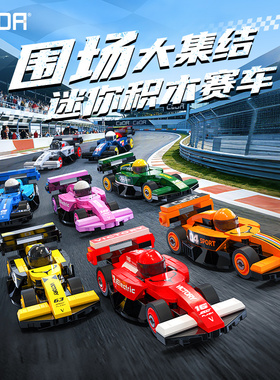 cada双鹰咔搭围场赛车迷你车队积木拼装玩具儿童多色益智模型玩具