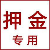 童颜摄影道具宝宝照服装 出租押金专拍链接租赁婴儿满月百天周岁照