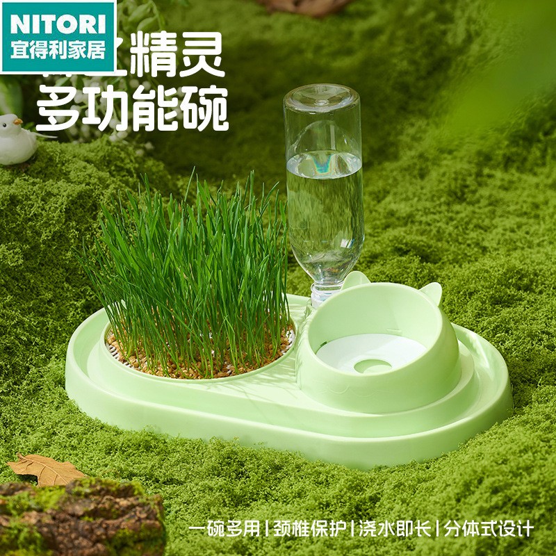 日本进口便宜得利多功能猫咪水培猫草盒猫咪猫零食猫薄荷种植无土