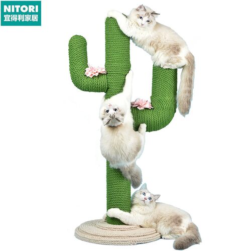 日本进口便宜得利【全网低价】仙人掌猫爬架猫爬柱通天柱剑麻猫抓