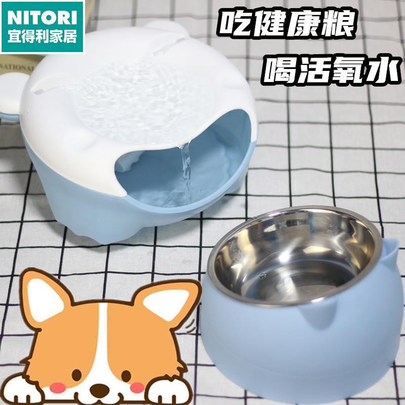 日本进口便宜得利大嘴熊 宠物猫咪饮水机狗狗自动饮水器过滤循环