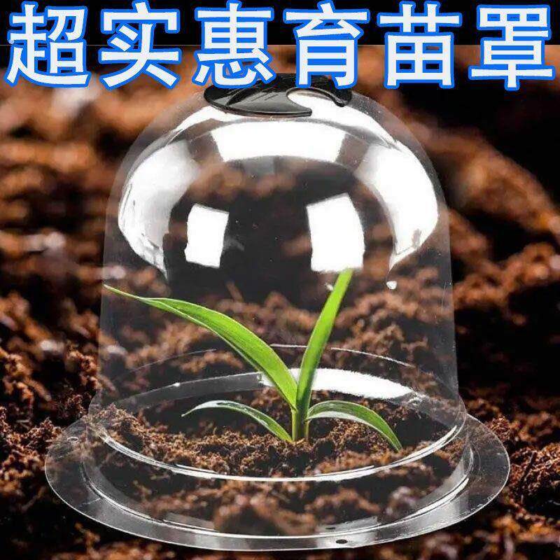 菜地保温罩蔬菜育苗保温加厚塑料透气种植保护幼苗透明植物闷恒温