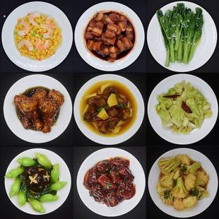 仿真菜品热销摆拍客家菜饭菜卤肉饭烧烤狮子头凉菜白斩鸡菜品模型