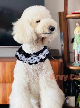 巨型贵宾犬口水巾大型犬可爱围嘴 宠物狗围脖饰品围兜