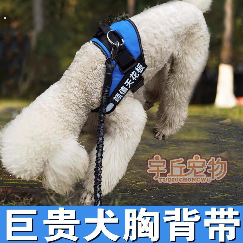 巨型贵宾犬巨贵犬专用狗狗胸抱婴袋牵引绳项圈遛狗绳链子大型犬用