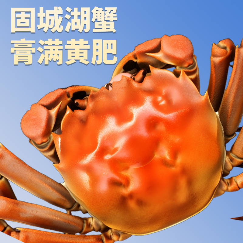 【活蟹】螃蟹鲜活大闸蟹全母固城湖蟹6810只装特大公残蟹礼盒礼品