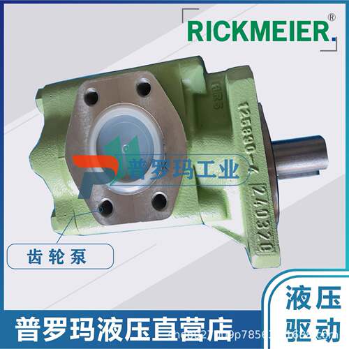 RICKER35/63 FIER 瑞克梅尔 齿轮B泵 330264-3 R35/6M3 FL-Z-D16-