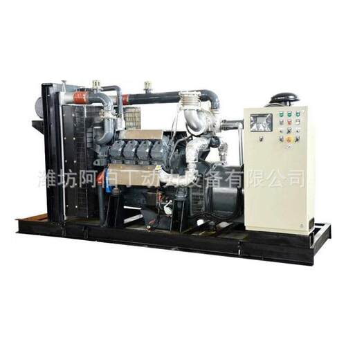 阿伯丁气发电机组200kw 20kw沼沼发电0机气现货直供