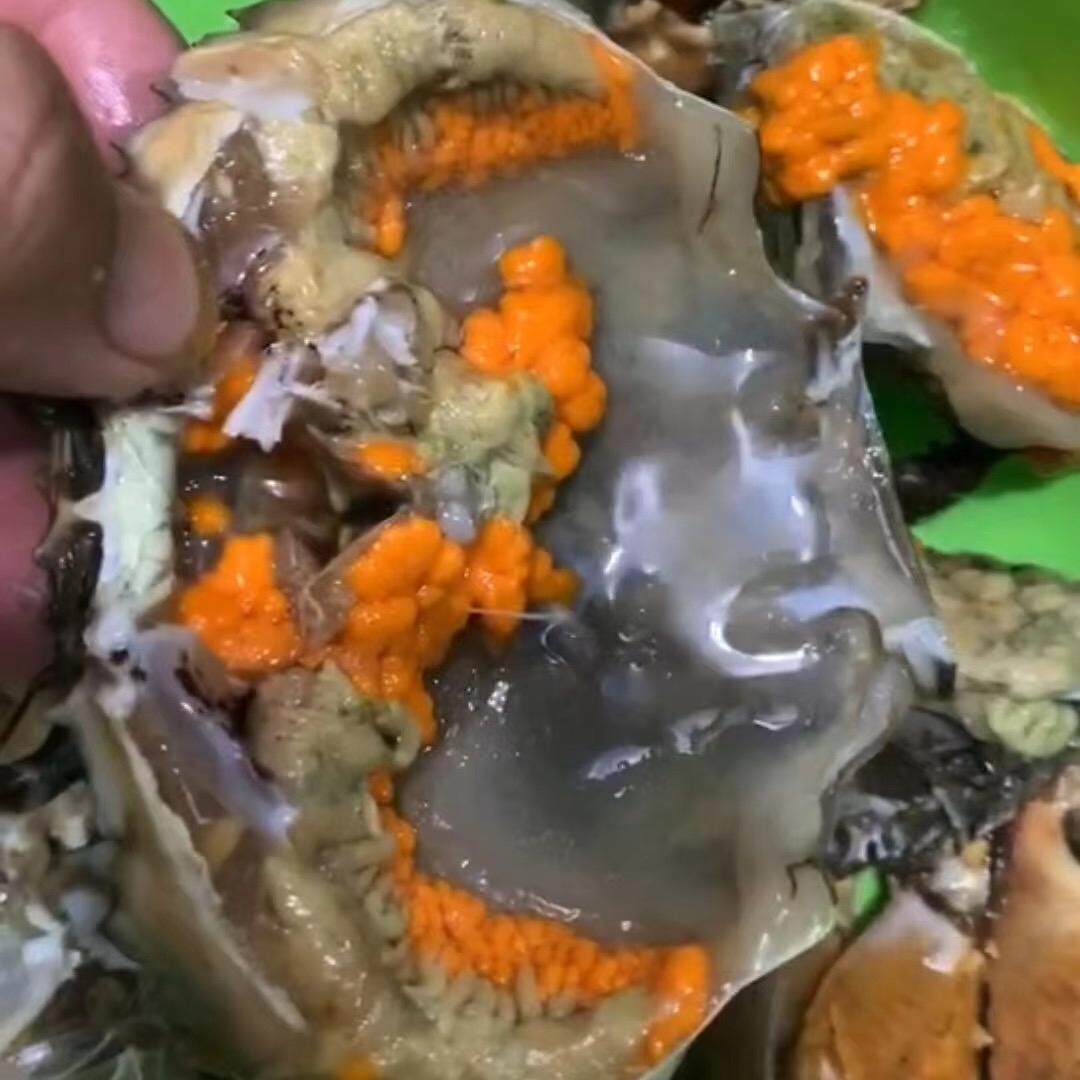 东山岛红鲟青蟹膏蟹包硬包活包红膏中秋送礼佳品