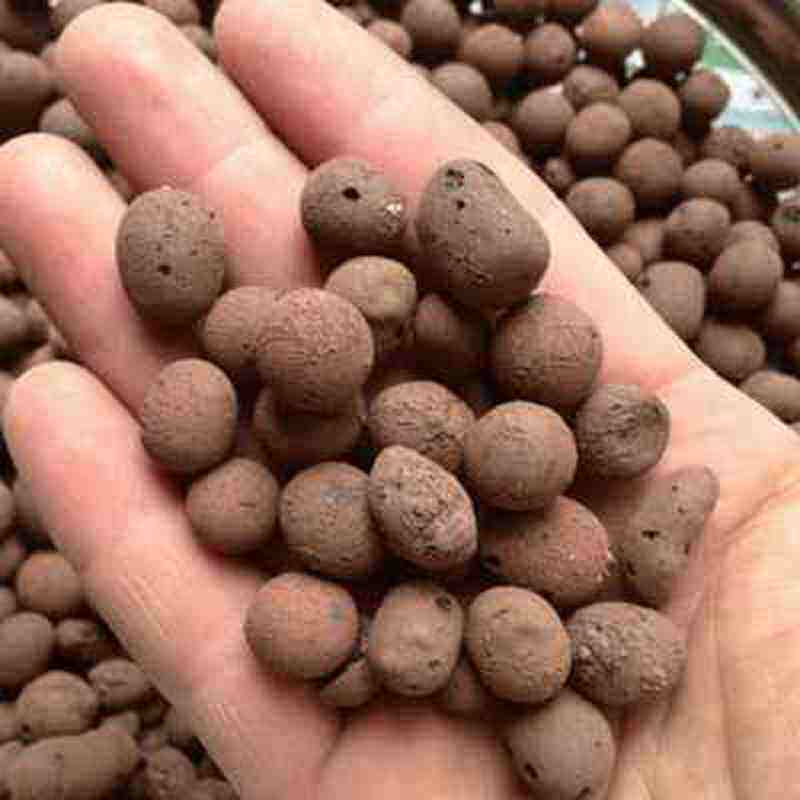 福建陶粒厂家直销卫生间回填阳台填充轻质建筑花卉园林污水陶粒