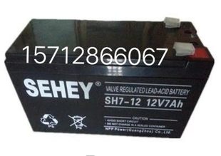 150 UPS电源12V38AH 西力蓄电池SH100 12现货NP65