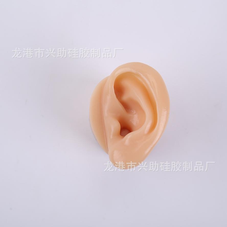 采耳模型教道学耳朵长模型学员耳道仿真硅胶深耳挖练习工厂耳直供