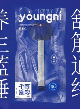 甄养你手工按摩锤小蓝锤敲打经络手工草本锤养生锤明星同款