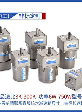 调速电机220V交流减速电机25W40W90W120W200W300W400W齿轮大扭矩