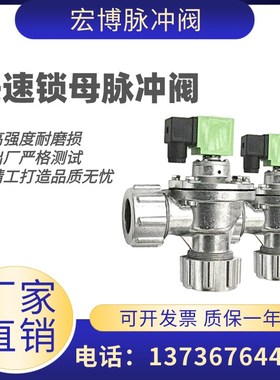 上海袋式电磁脉冲阀布袋除尘器DMFx-ZM-25/20/40S螺母速连直角式