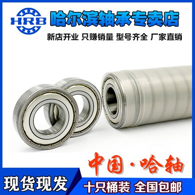 哈尔滨电机轴承6217 6218 6219 6220 6221 6222 6224 6226 6228zz