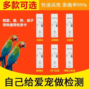 鹦鹉热检测沙门氏滴虫念珠菌支原体鹦鹉热衣原体新城疫检测试纸