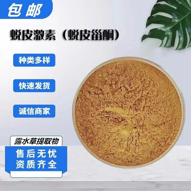 蜕皮激素脱皮甾酮露水草提取物
