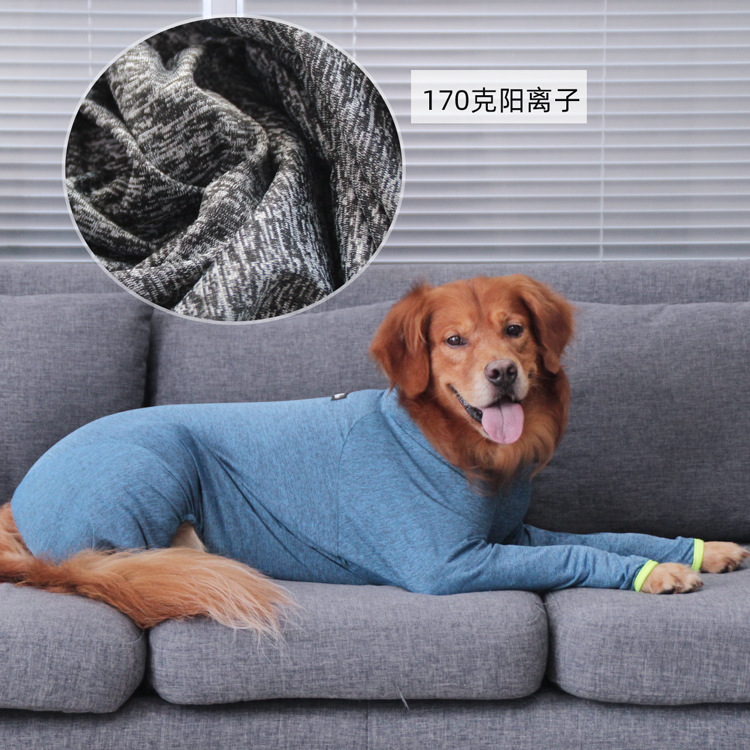 大狗四脚衣服防掉毛伯恩山犬