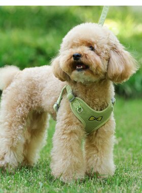 狗狗胸背带牵引绳狗绳用品泰迪博美比熊茶杯俊介小鹿犬雪纳瑞柴犬