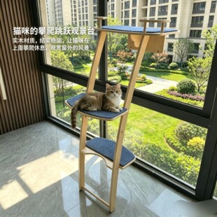 观景台猫爬架吸盘猫窝宠物猫树剑麻用品小型大型实木多层板