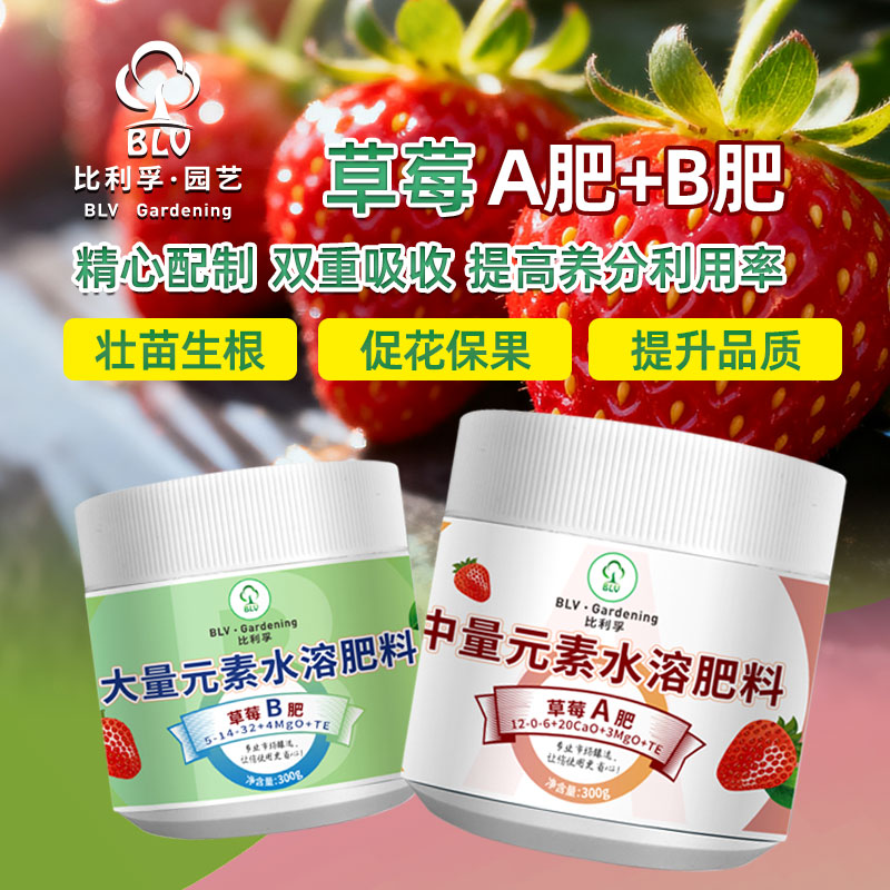 草莓全阶段生长AB水溶肥