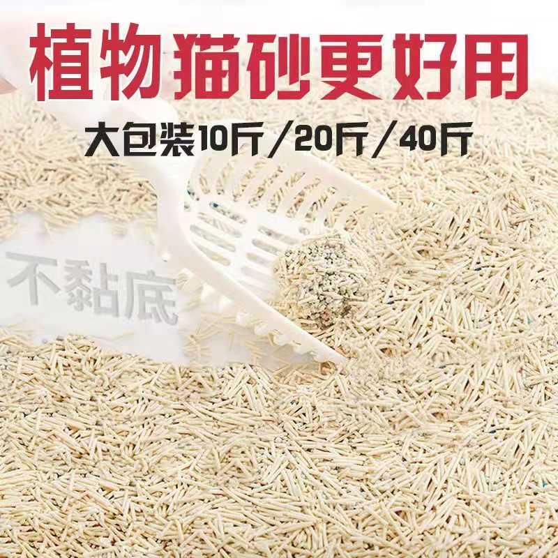 喵野君豆腐猫砂超强除臭强力杀菌特惠猫舍 优惠猫砂豆腐砂无味