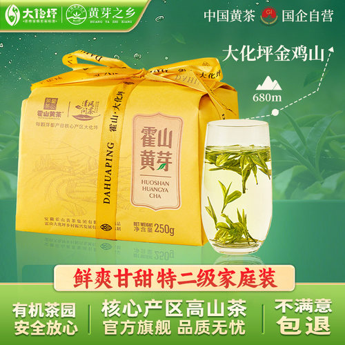 2026新茶霍山黄芽正宗浓香型250g