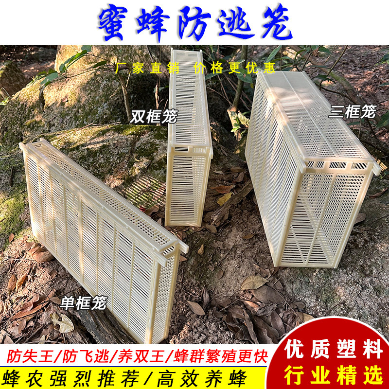中蜂控王笼意蜂产卵控制器蜜蜂隔王工具蜂王防跑框蜂箱隔板囚王笼