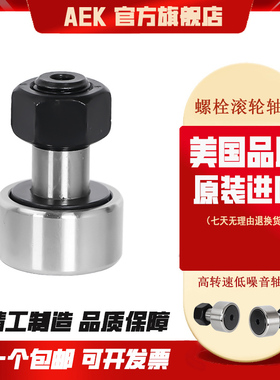 美国AEK CF3/KR10PP进口CF4/KR12PP螺栓CF5/KR13PPCF6/KR16PP轴承