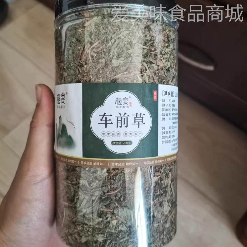 【优选】车前草中药材500g新干货泡水喝袋泡茶野生鲜干金钱草蒲