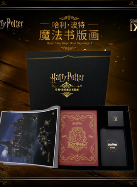 【现货】SPACE IX & 哈利波特魔法书收藏版画华纳正版授权版画