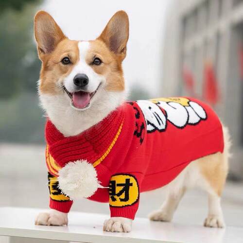 网红狗狗衣服冬装新年宠物柯基圣诞柴犬泰迪加厚小狗法斗中小型犬