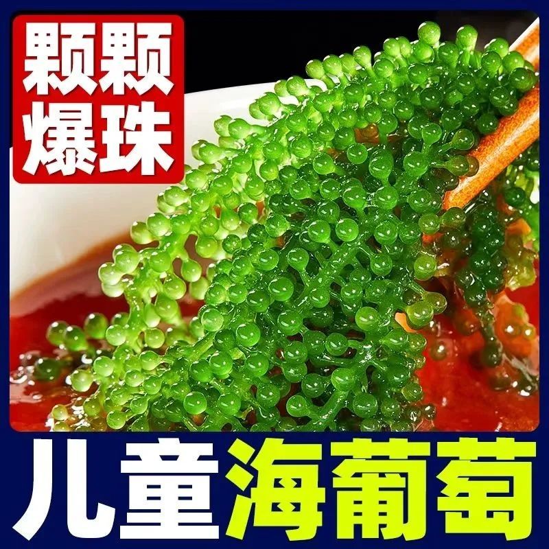 新鲜盐渍海葡萄长寿菜海带裙带菜寿司海藻绿色儿童鱼子酱商用批发