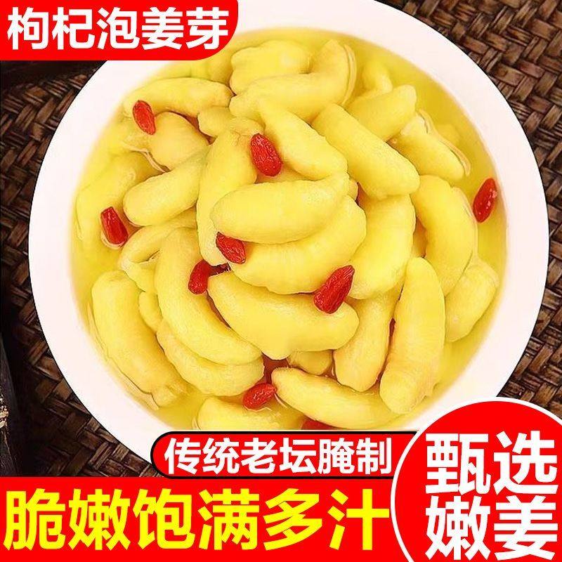 新鲜枸杞泡嫩鲜姜芽仔姜糖醋嫩姜芽嫩生姜腌制即食下饭菜泡菜蔬菜