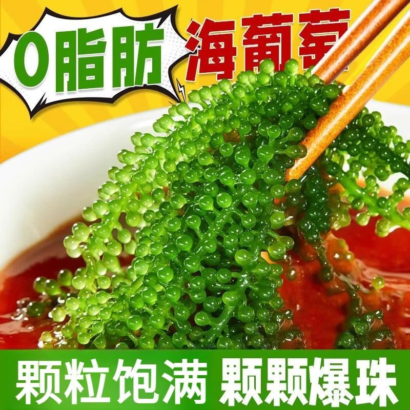 新鲜盐渍海葡萄儿童长寿菜海藻海带裙带菜寿司即食绿色鱼子酱100g