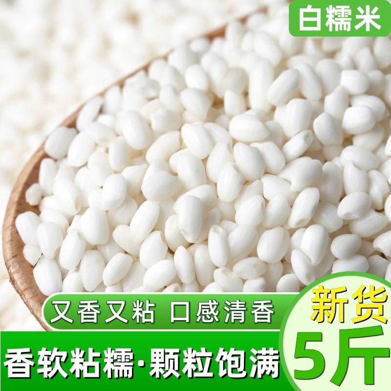 白糯米新米农家圆糯米五谷杂粮包粽子圆粒米酿酒粗粮做糯米饭