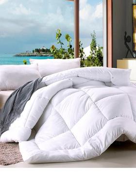 super warm quilt winter bed duvet blanket 舒适被子冬被芯保暖