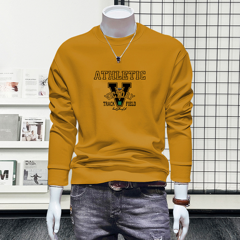 蓝晟依卫衣男款爆款2025新款男士长袖百搭上衣加绒打底衫圆领外套