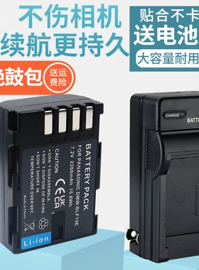 适用松下DMW-BLF19E电池充电器DMC-GH4 GH5 GH5S GH3 DC-G9 G9LGK微单相机BLF19充电套装 适马SDQ BP-61 BP61