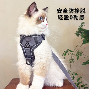猫咪牵引绳防挣脱外出专用溜猫绳宠物背带链子可调节网红遛猫神器