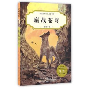 正版血战群狼鏖战苍穹