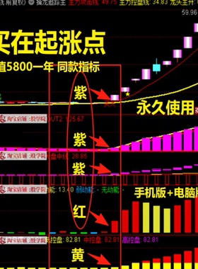 2025紫紫红黄双紫擒龙追踪懂牛龙头模型启动三线扭转庄家控盘指标