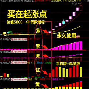 2025紫紫红黄双紫擒龙追踪懂牛龙头模型启动三线扭转庄家控盘指标